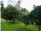 52 Main Street, Cundletown NSW 2430