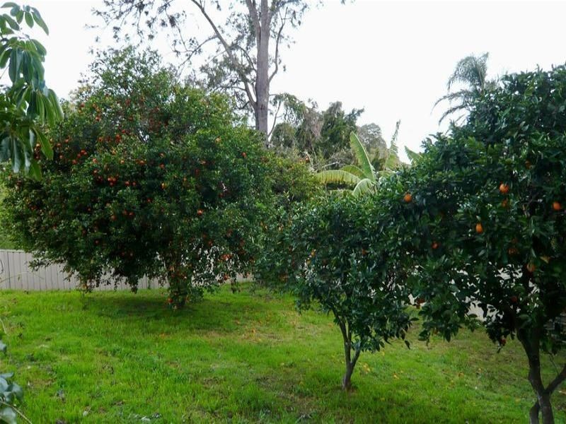 52 Main Street, Cundletown NSW 2430