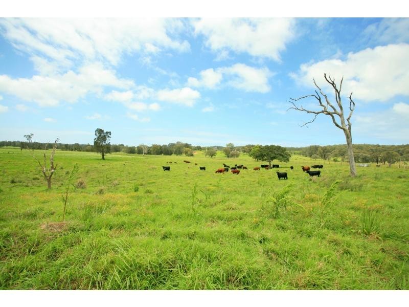 Oxley Island NSW 2430