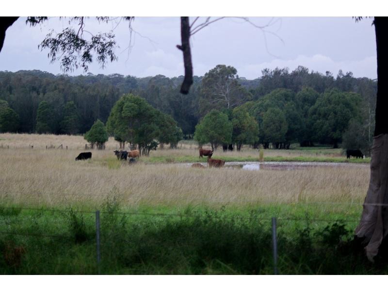 8 Oak Road, Taree NSW 2430