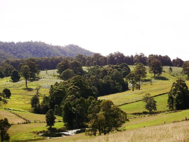 Killabakh NSW 2429