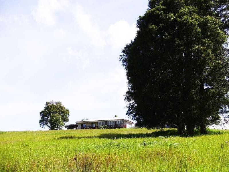 Killabakh NSW 2429