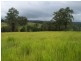 Killabakh NSW 2429