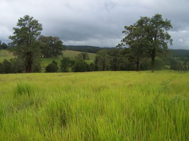 Killabakh NSW 2429