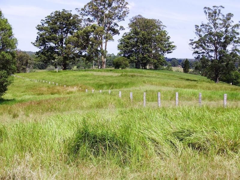 Killabakh NSW 2429