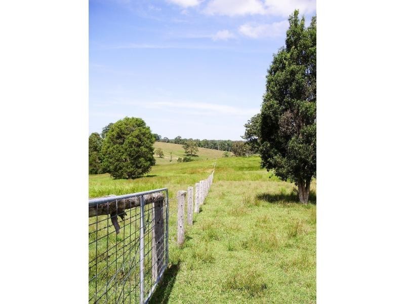 Killabakh NSW 2429
