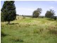 Killabakh NSW 2429