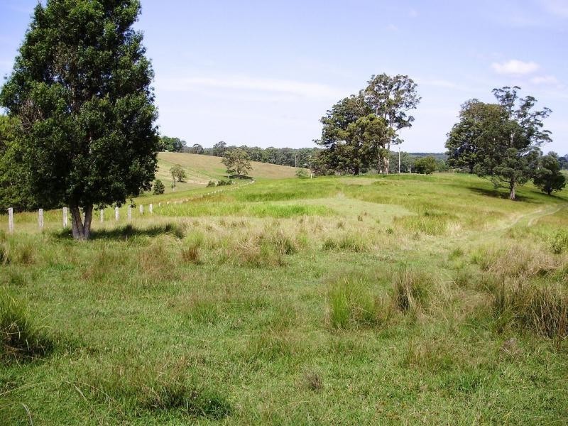 Killabakh NSW 2429