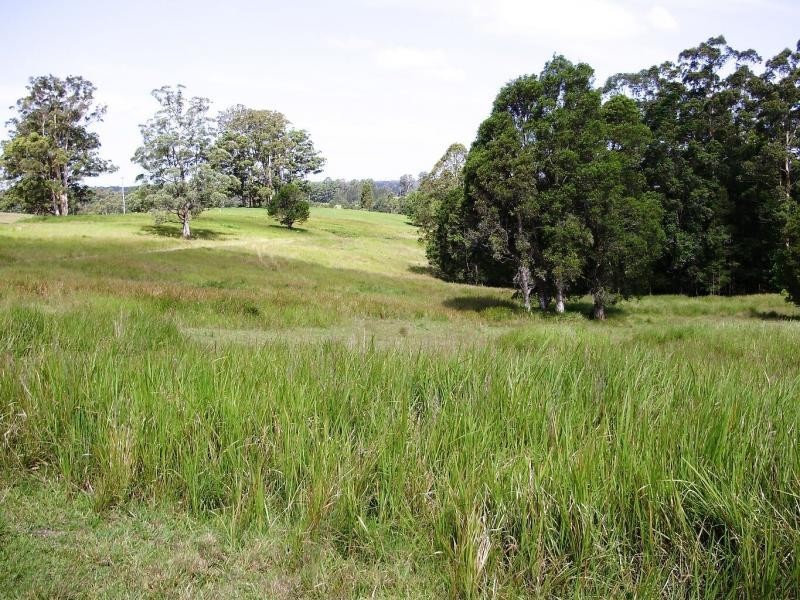 Killabakh NSW 2429