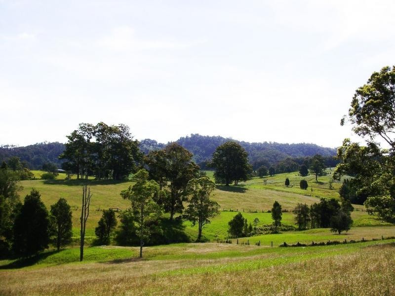 Killabakh NSW 2429