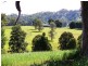 Killabakh NSW 2429