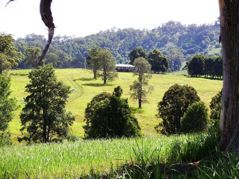 Killabakh NSW 2429