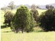 Killabakh NSW 2429