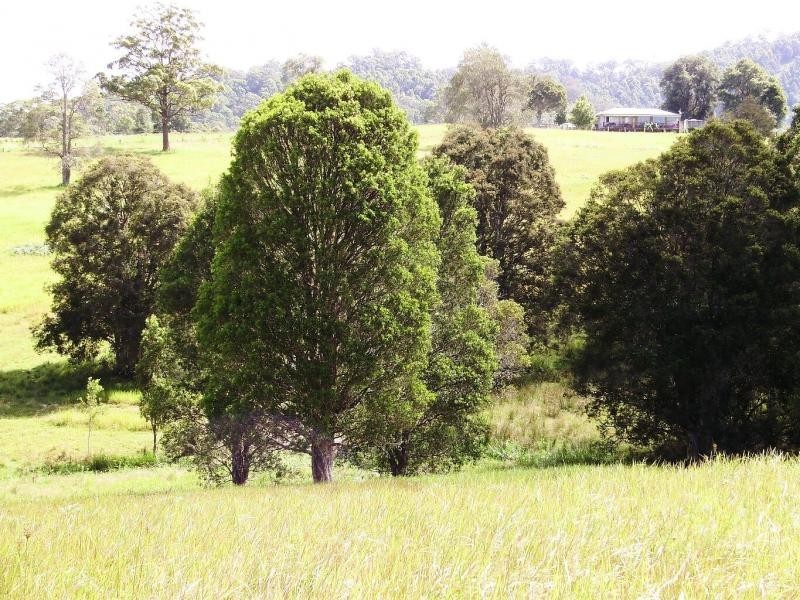 Killabakh NSW 2429