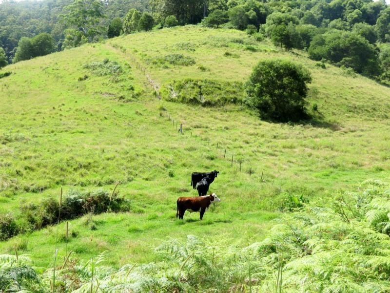 Mooral Creek NSW 2429