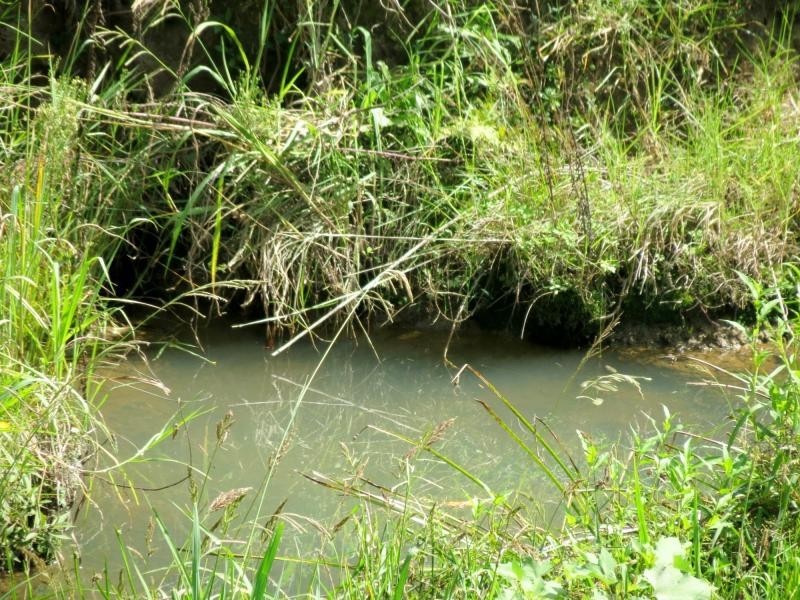 Mooral Creek NSW 2429