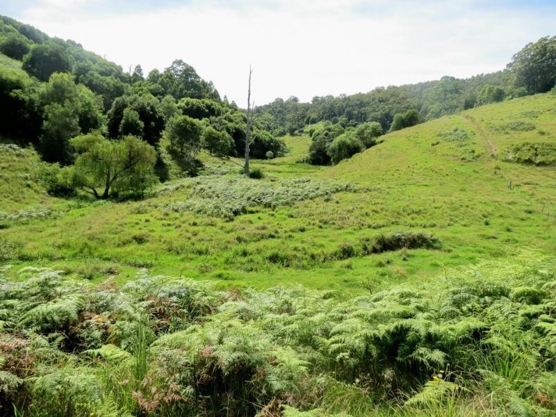 Mooral Creek NSW 2429