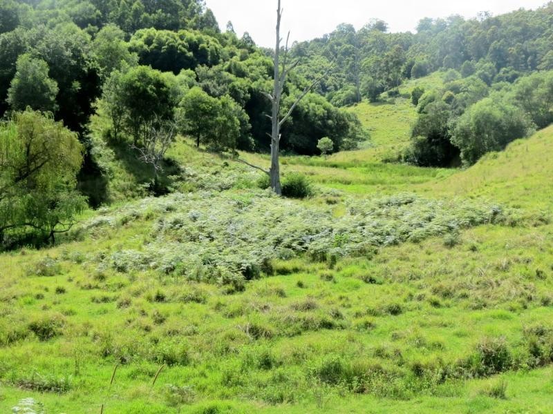 Mooral Creek NSW 2429