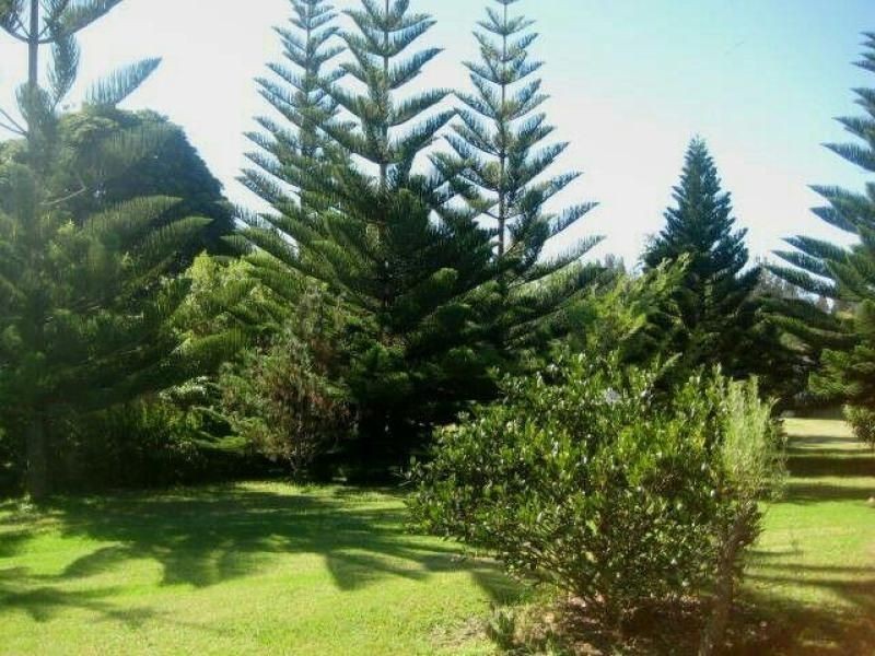 3 Figtree Drive, Diamond Beach NSW 2430