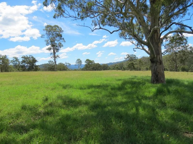 Wherrol Flat NSW 2429