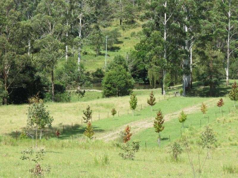 Wherrol Flat NSW 2429