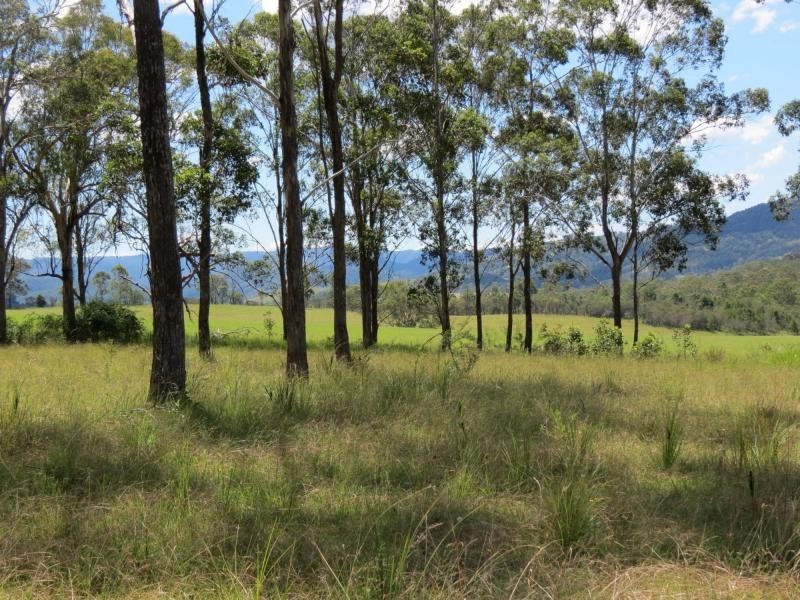 Wherrol Flat NSW 2429