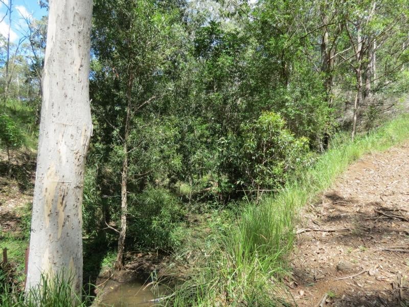 Wherrol Flat NSW 2429