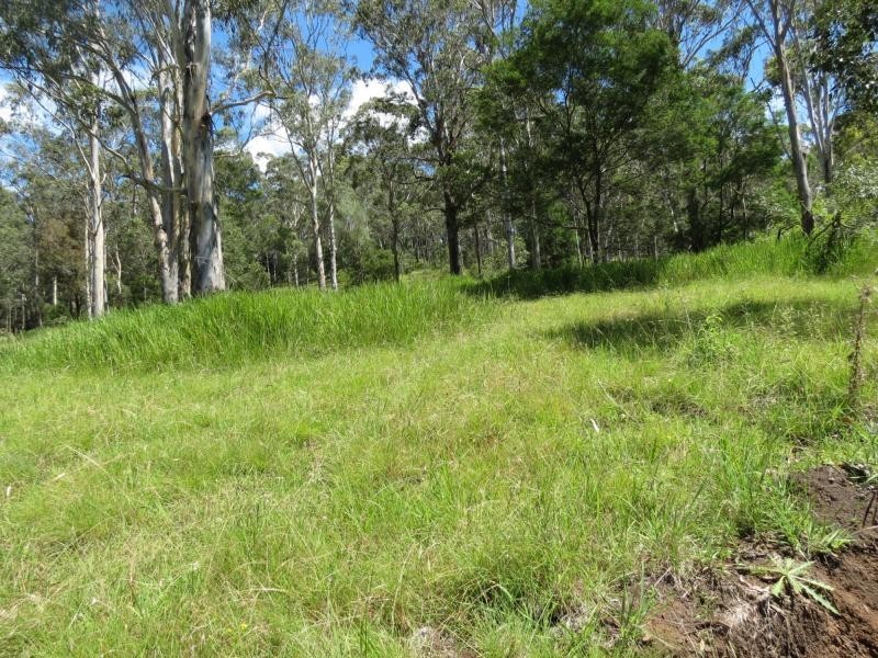 Wherrol Flat NSW 2429