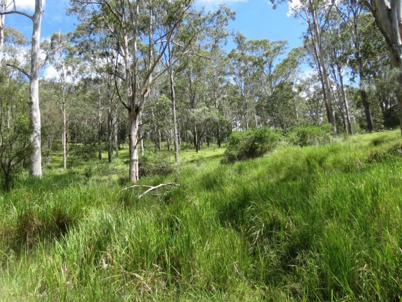 Wherrol Flat NSW 2429