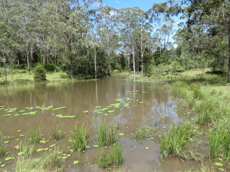 Wherrol Flat NSW 2429