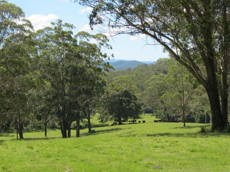 Wherrol Flat NSW 2429