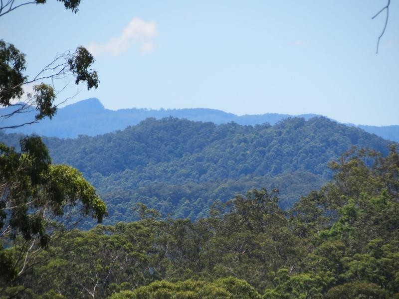 Wherrol Flat NSW 2429