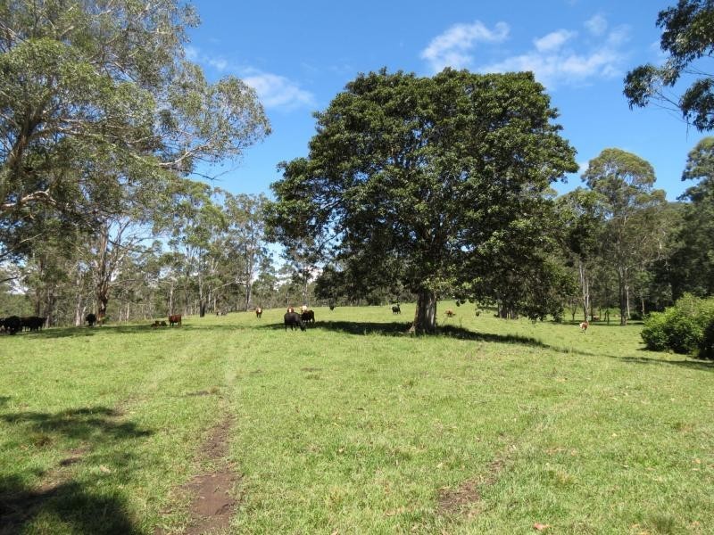 Wherrol Flat NSW 2429