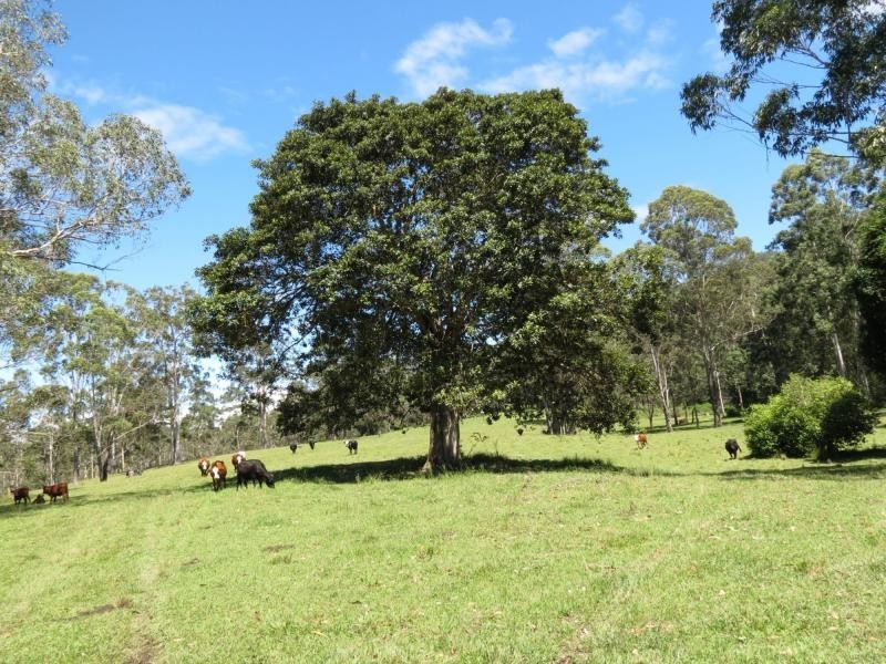 Wherrol Flat NSW 2429