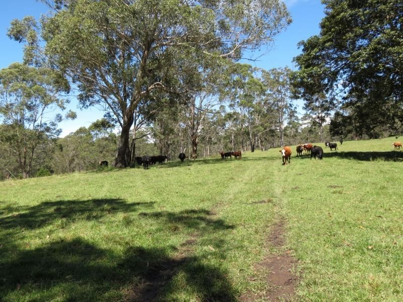 Wherrol Flat NSW 2429