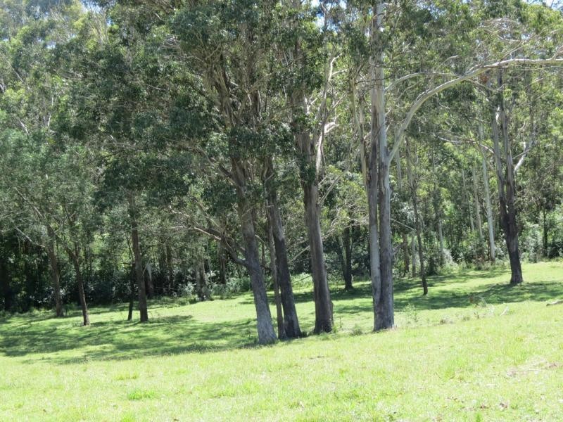 Wherrol Flat NSW 2429