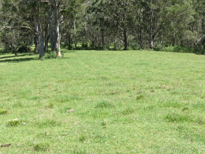 Wherrol Flat NSW 2429