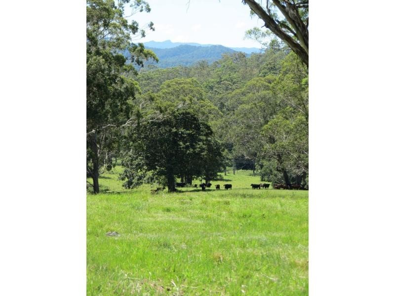 Wherrol Flat NSW 2429