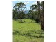 Wherrol Flat NSW 2429