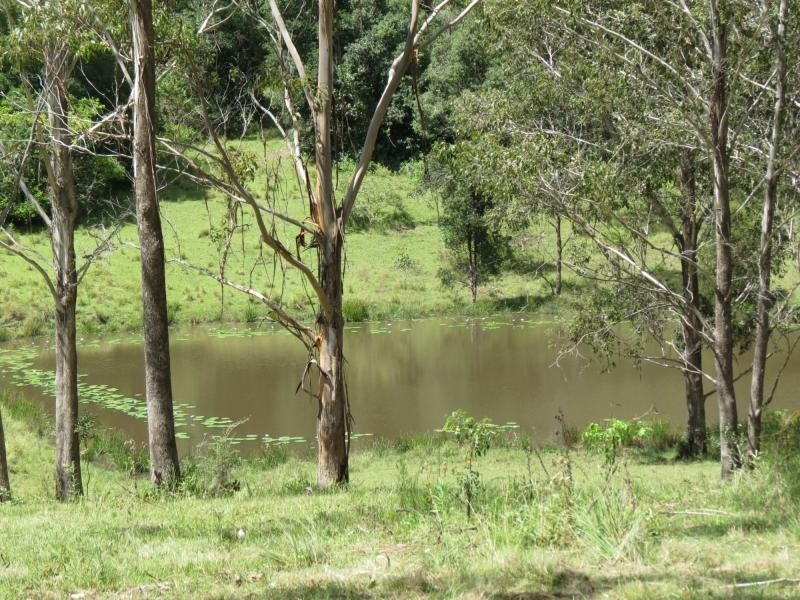 Wherrol Flat NSW 2429