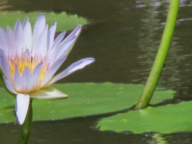 Wherrol Flat NSW 2429