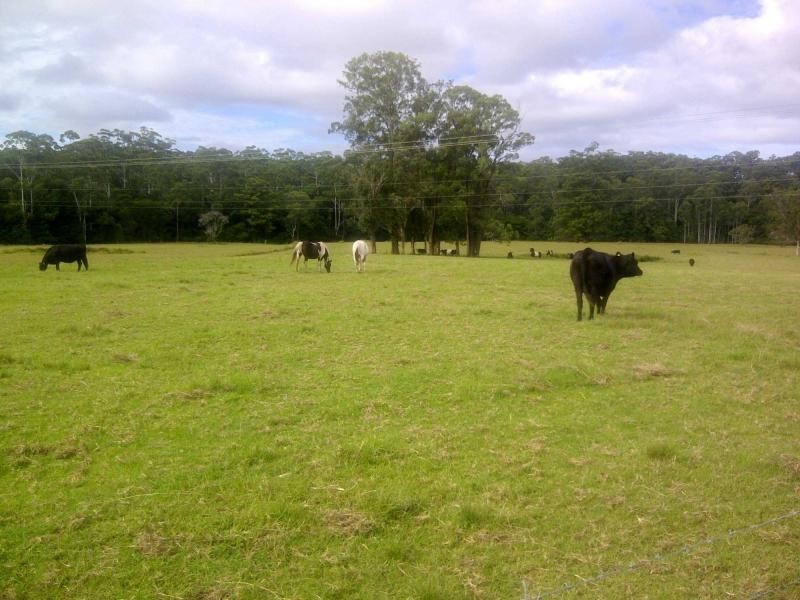 Rainbow Flat NSW 2430