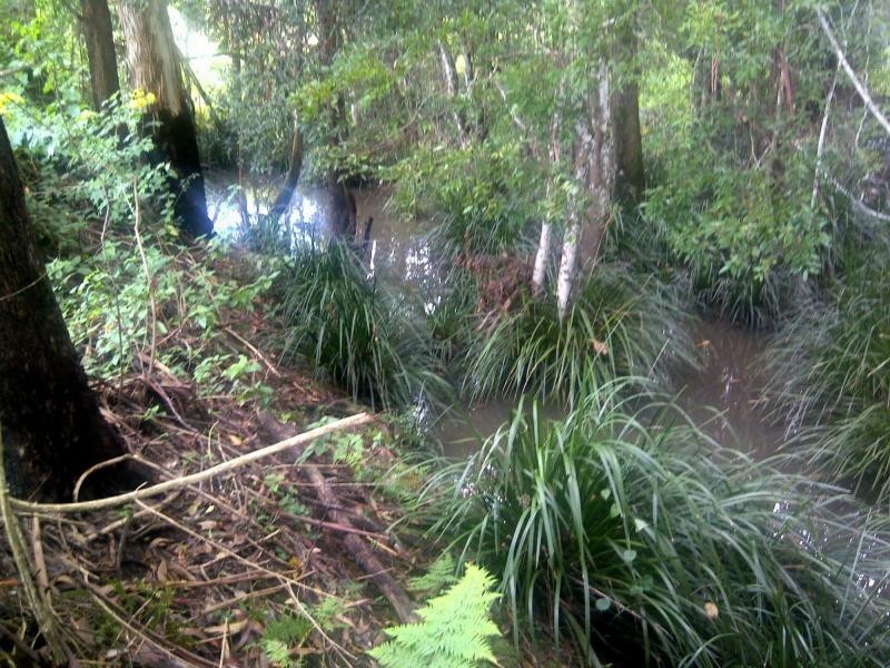 Rainbow Flat NSW 2430