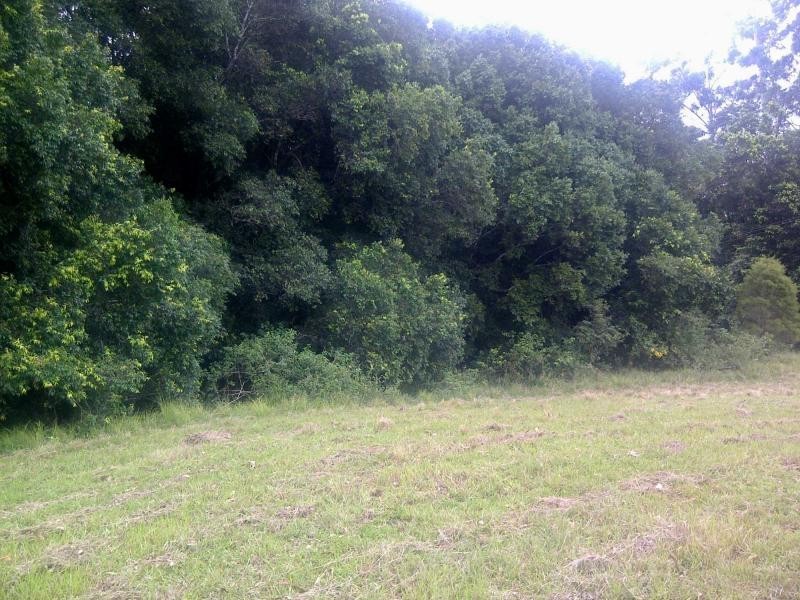 Rainbow Flat NSW 2430