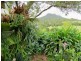 1893 Comboyne Road, Killabakh NSW 2429