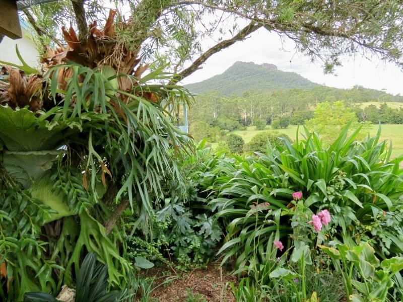 1893 Comboyne Road, Killabakh NSW 2429
