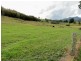 1893 Comboyne Road, Killabakh NSW 2429