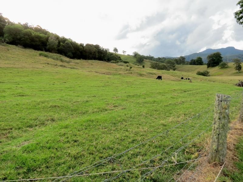1893 Comboyne Road, Killabakh NSW 2429
