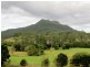 1893 Comboyne Road, Killabakh NSW 2429