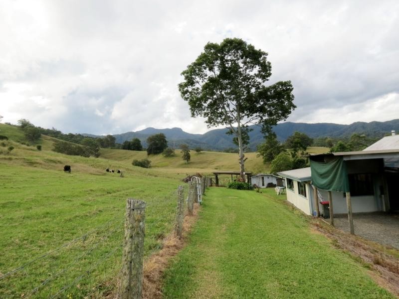 1893 Comboyne Road, Killabakh NSW 2429